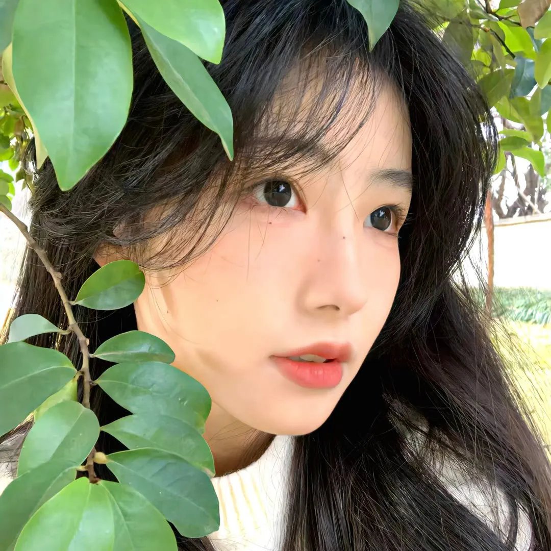 夏日之恋
